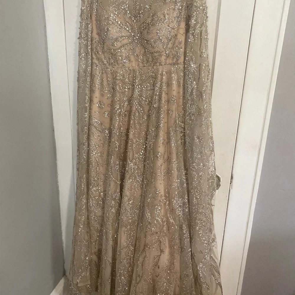 Elegant Silver Embellished Gown - Picture 7 of 8